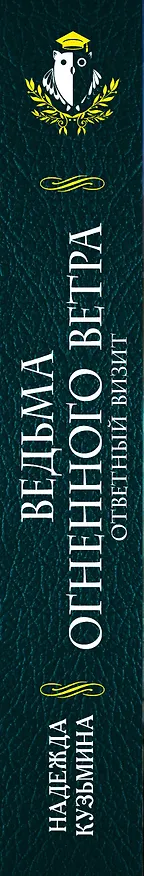 Книга Ведьма огненного ветра. Ответный визит (Надежда Кузьмина) — 3