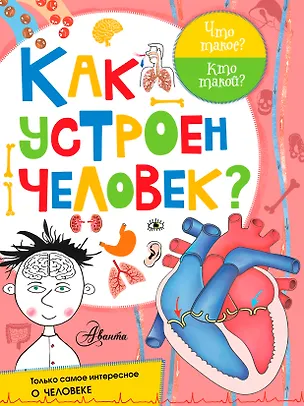 Книга Как устроен человек? (Вера Иванова)