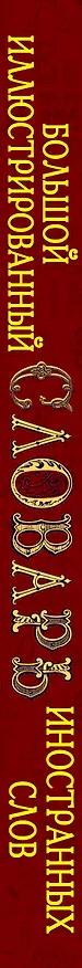 Книга Иллюстрированный словарь иностранных слов: ок.5000 слов... (ISBN 978-5-17-054949-8 в суперобложке "Большой иллюстрированный словарь иностранных слов") () — 3