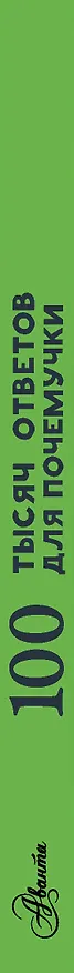 Книга 100 тысяч почему. Вопрос-ответ (Павел Бобков) — 2