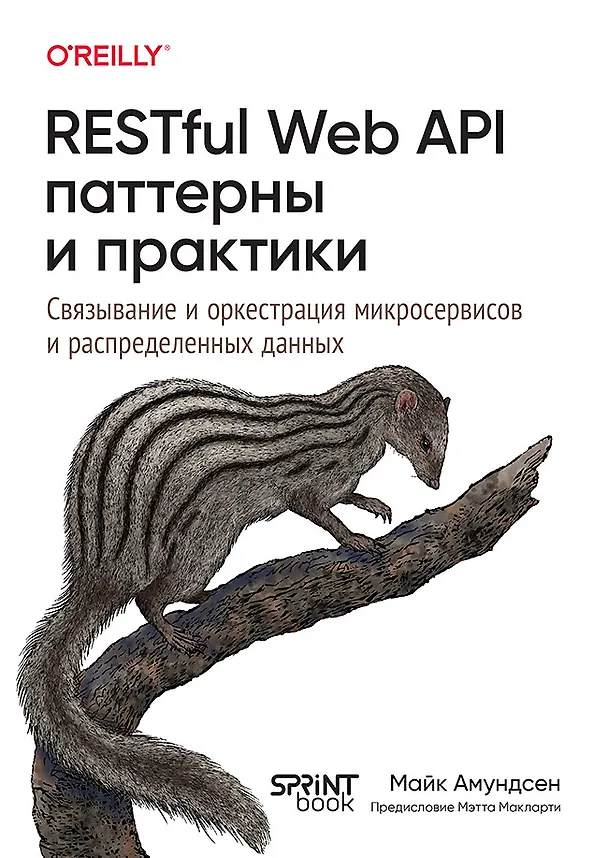 Книга RESTful Web API паттерны и практики (Майк Амундсен) — 1