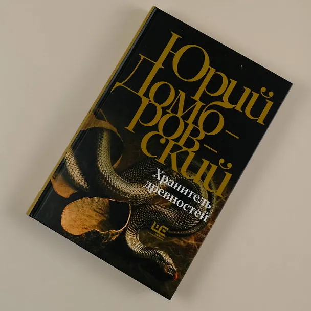 Книга Хранитель древностей (Юрий Домбровский) — 7