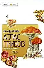 Атлас-определитель грибов — 2214374 — 1