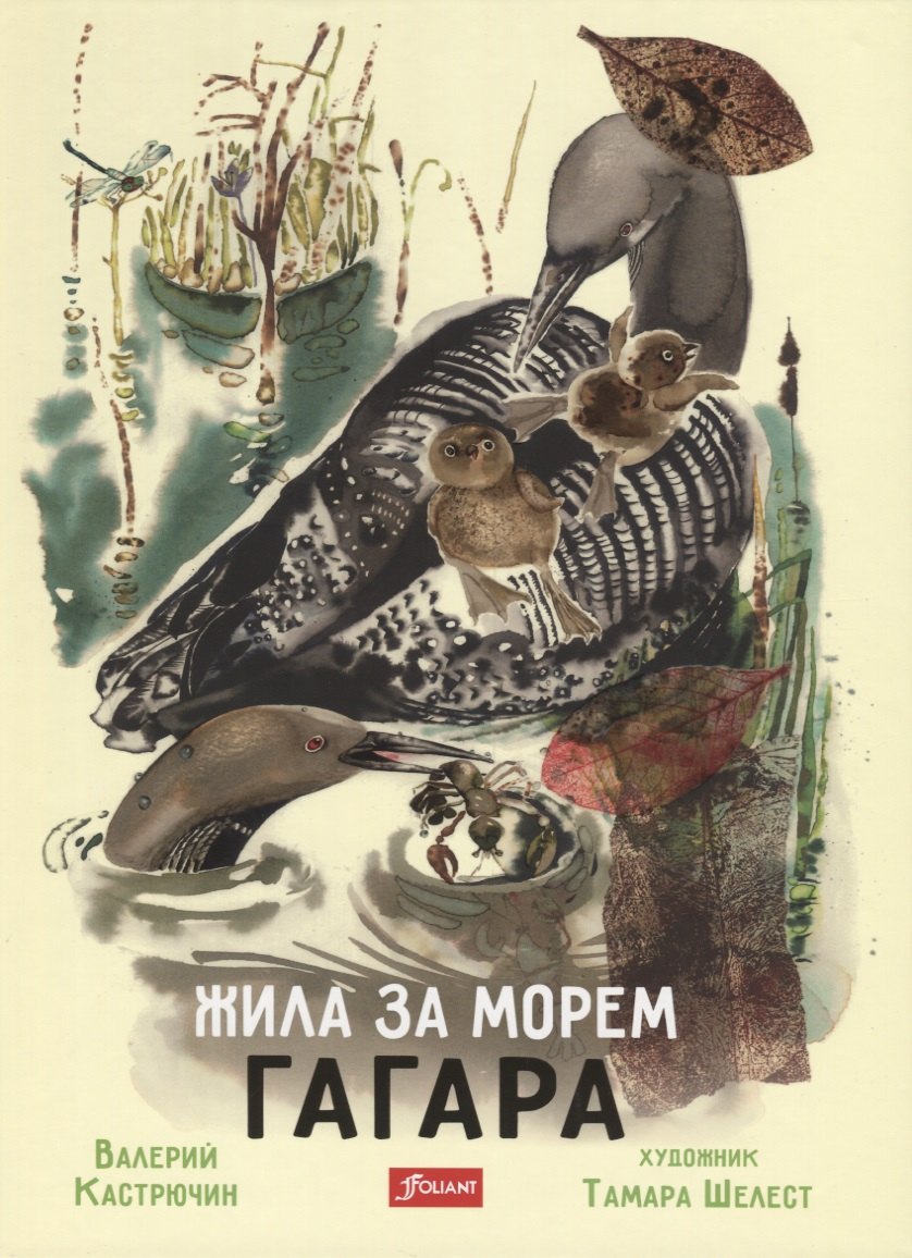 

Жила за морем Гагара
