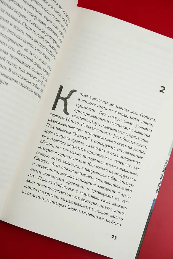 Книга Последнее лето в городе (Джанфранко Каллигарич) — 10