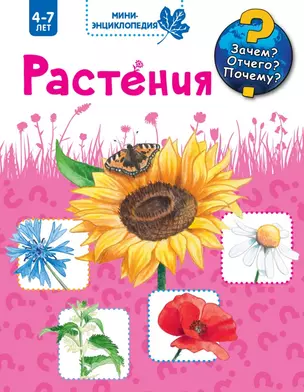 Растения — 2499384 — 1