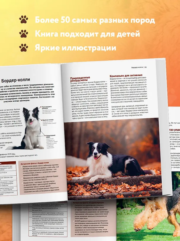 Книга Самые известные породы. СОБАКИ. Большая иллюстрированная энциклопедия (Галина Сула) — 8
