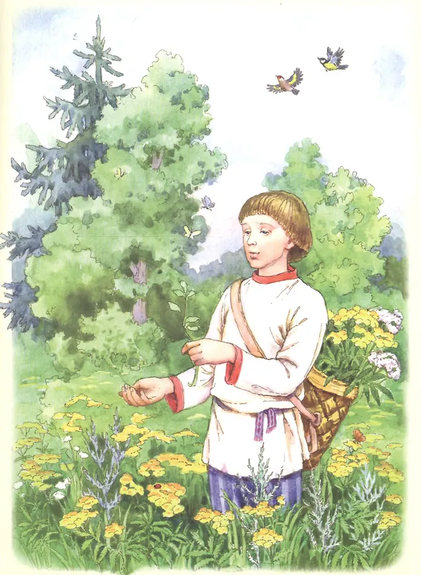 Книга Травяные сказки (Татьяна Кирюшатова) — 4