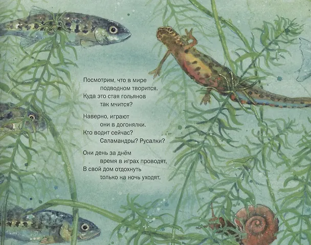 Книга Окунемся в мир русалок (Даниэла Дрешер) — 3