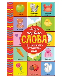 Мои первые слова. 15 книжек-кубиков. Развитие речи