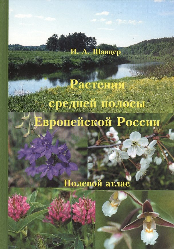 Книга Растения средней полосы Европейской России. Полевой атлас. 5-е изд. (Иван Шанцер) — 1