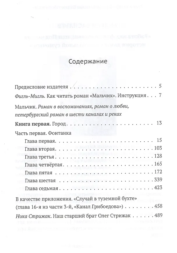 Книга Мальчик (Олег Стрижак) — 2