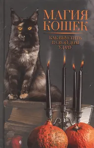 Магия кошек. Как впустить в свой дом удачу