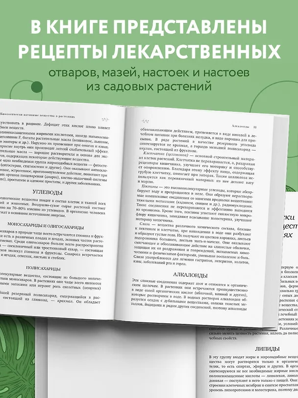 Книга Декоративные лекарственные растения на даче. Как выращивать, заготавливать и применять 200 популярных видов (Андрей Цицилин) — 7