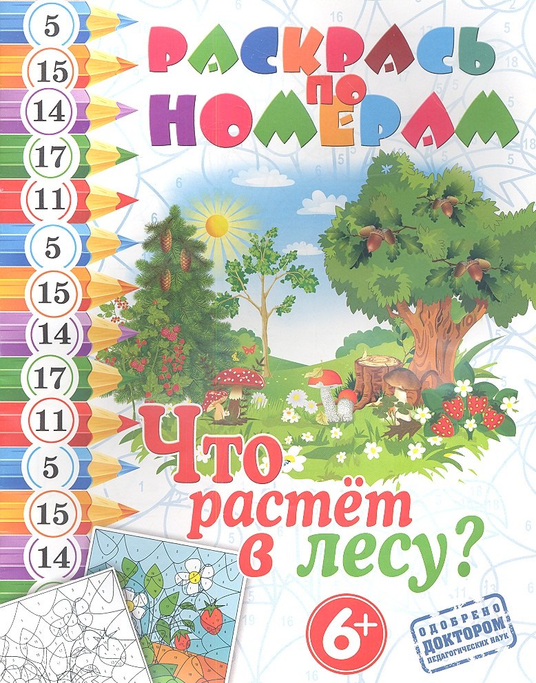 

Что растет лесу