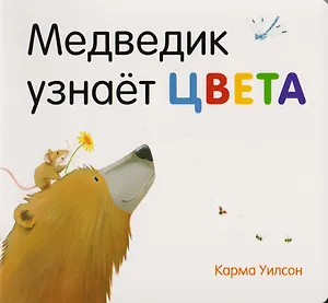 Медведик узнаёт цвета
