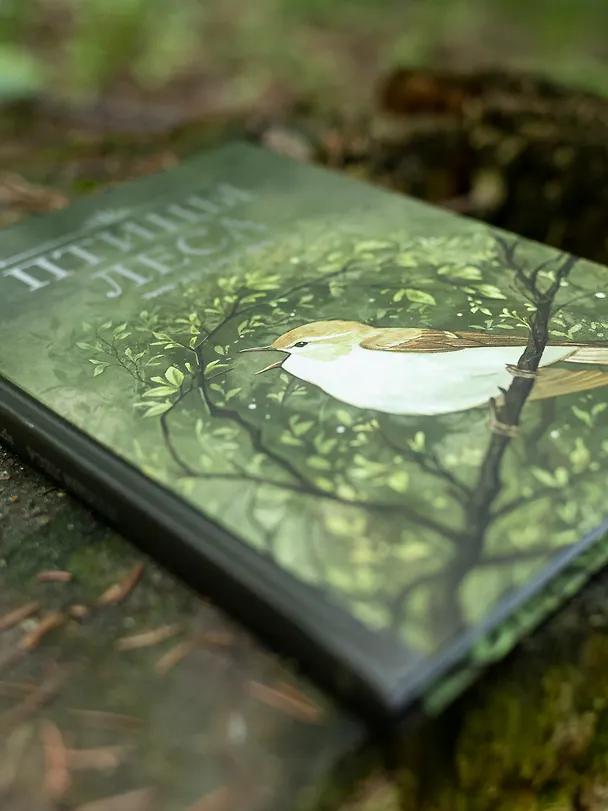 Книга Птицы леса. Артбук (Geo Saiko) — 24