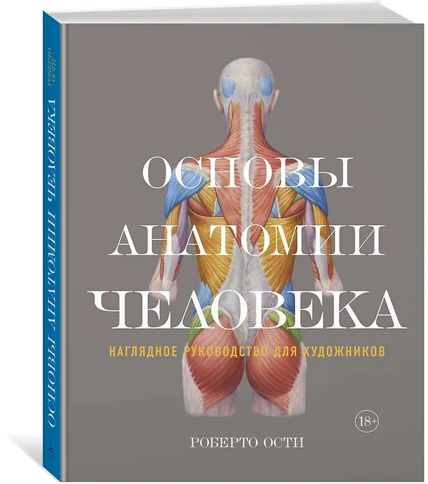 Книга Основы анатомии человека. Наглядное руководство для художников (Роберто Ости) — 2