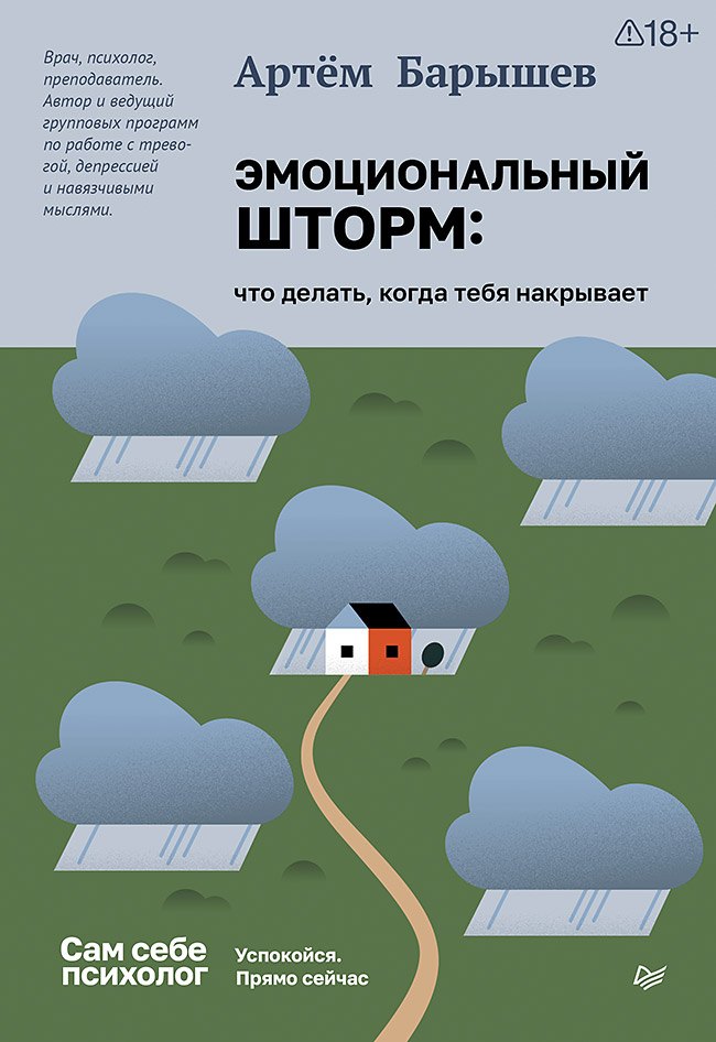 Артем Николаевич Барышев Эмоциональный шторм: что делать, когда тебя накрывает. Успокойся. Прямо сейчас