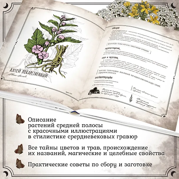 Книга Тайны и магия растений. Путеводитель по миру трав и деревьев (Мария Сумина) — 6