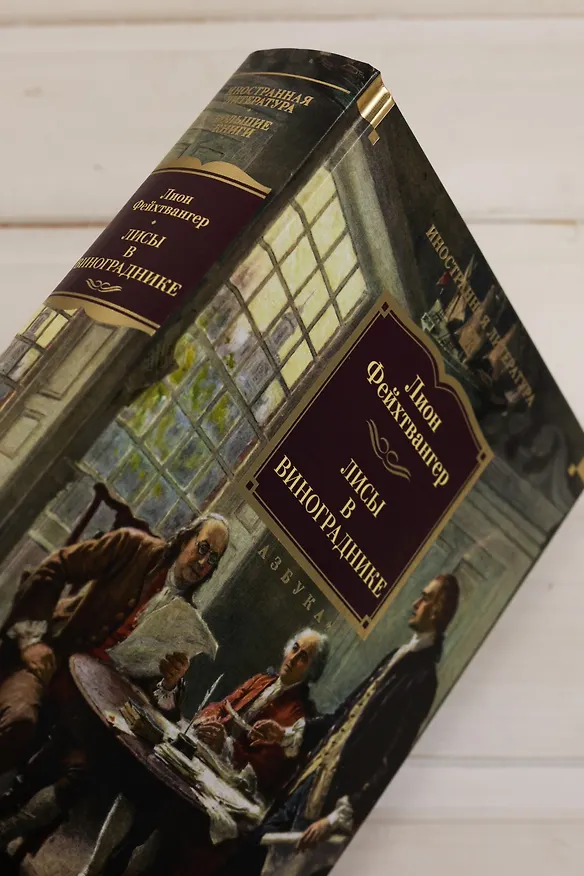Книга Лисы в винограднике (Лион Фейхтвангер) — 18