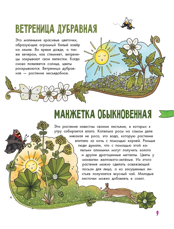Книга Цветы и растения (Эмма Янссон) — 13