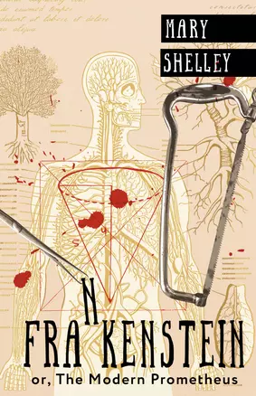 Frankenstein  or, The Modern Prometheus — 3022804 — 1