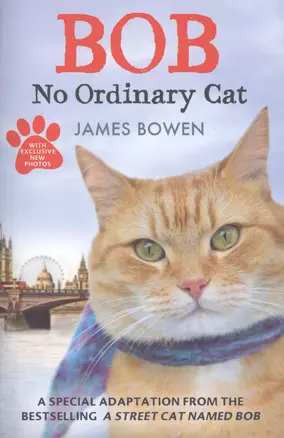 Bob: No Ordinary Cat — 2411187 — 1