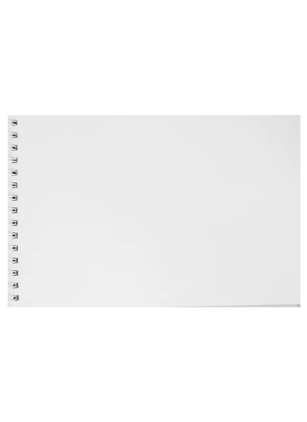 Скетчбук А5 40л "SKETCHBOOK. Leo", белый офсет, 100г/м2, евроспираль 2901065 — 2