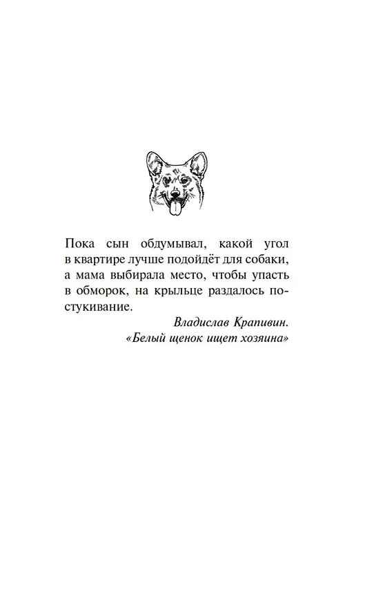 Книга Умница. Корги ведёт расследование (Екатерина Минаева) — 14