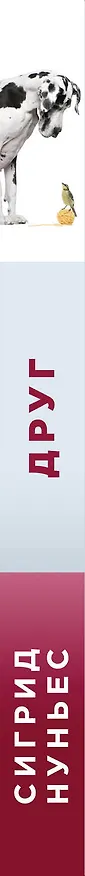 Книга Друг (Сигрид Нуньес) — 3