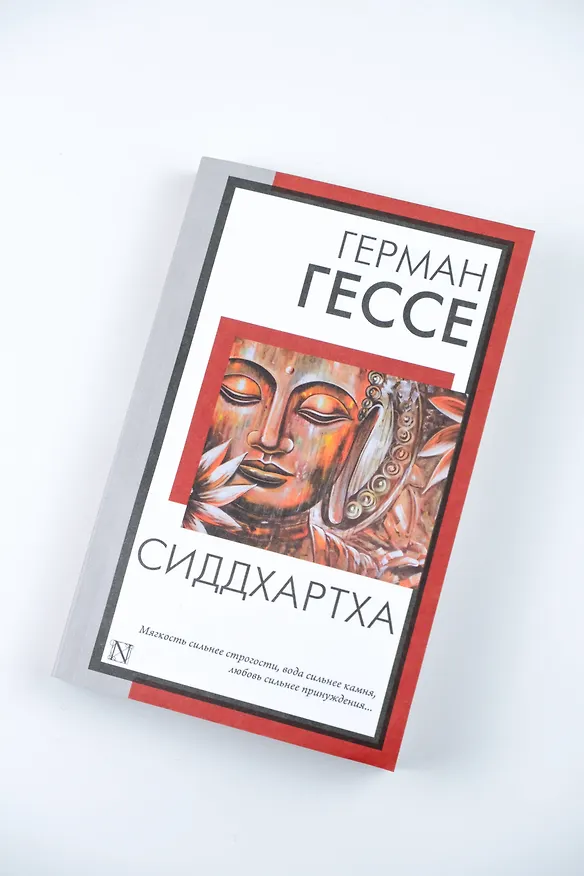 Книга Сиддхартха (Герман Гессе) — 6