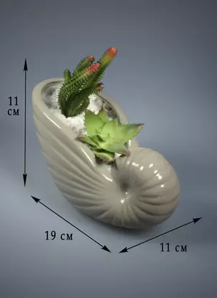 Декоративная композиция Ракушка (19х11х11) (7601) — 2572597 — 1