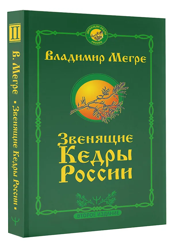 Книга Звенящие кедры России. Второе издание (Владимир Мегре) — 4