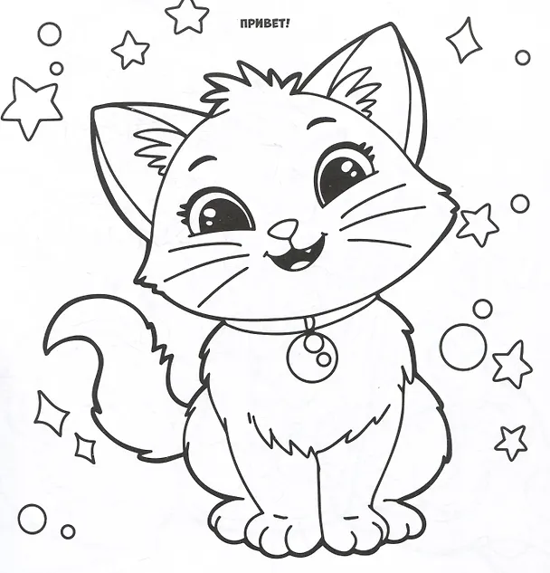 Книга Котики и таба-лапки. Раскраска (Л. Майструк) — 4