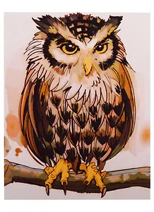 Набор д/творчества Рыжий кот Холст с красками 30х40см по номерам (в коробке) (19цв.) Задумчивая сова Х-2900
