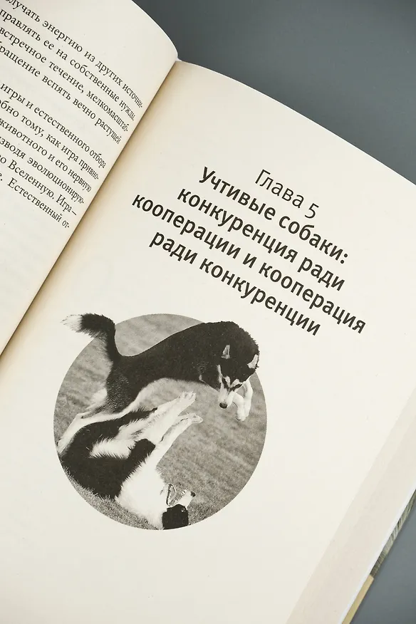 Книга Царство игры (Дэвид Туми) — 13