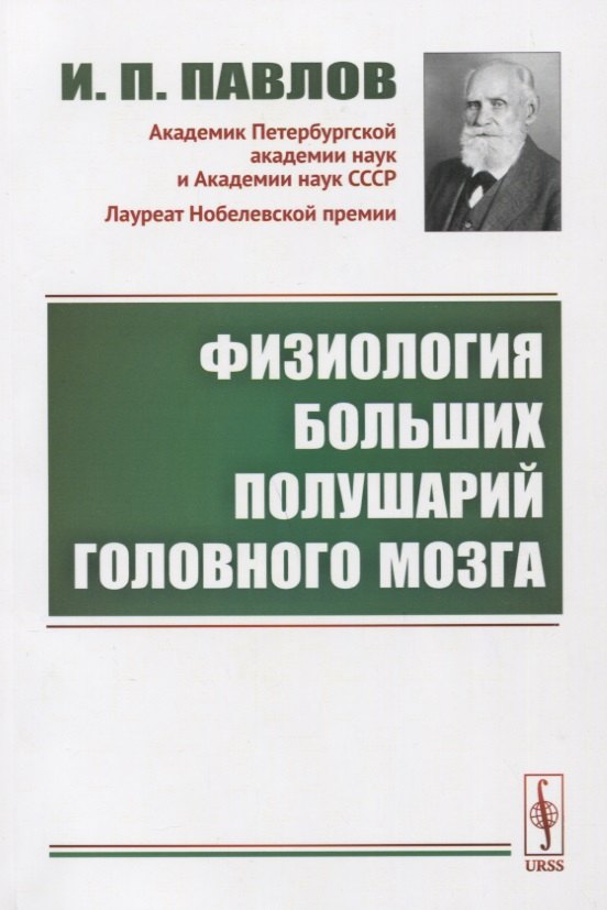 

Физиология больших полушарий головного мозга