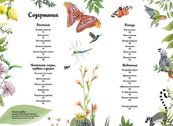 Книга Большая книга о природе в картинках (Камилла де ла Бедуайер) — 3