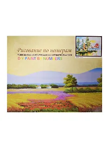 Набор для раскрашивания по номерам (GX6285) (7706758) (40х50см) (коробка)