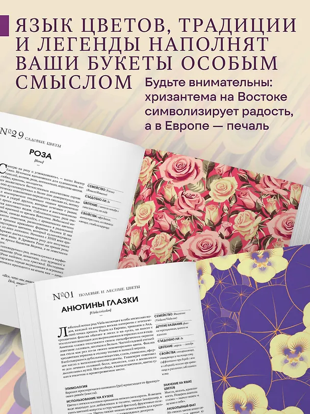 Книга Грамматика цветов. Иллюстрированный путеводитель по цветочной вселенной символов, лечебных свойств и применения растений (Симона Реканатини) — 8