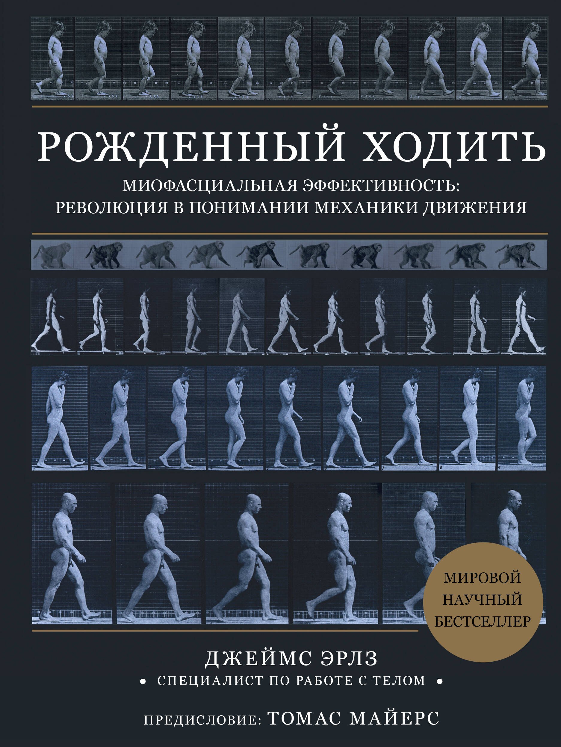 

Рожденный ходить. Миофасциальная эффективность: революция в понимании механики движения