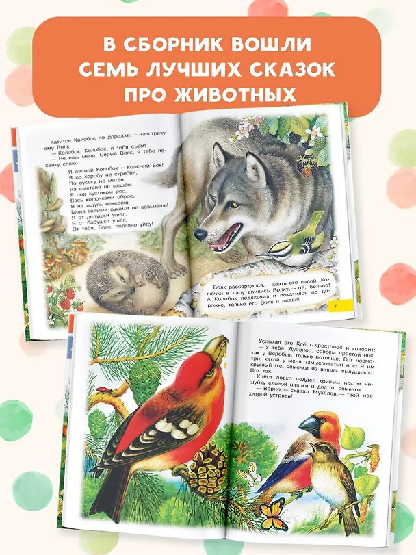 Книга Лесной Колобок - Колючий Бок (Виталий Бианки) — 6
