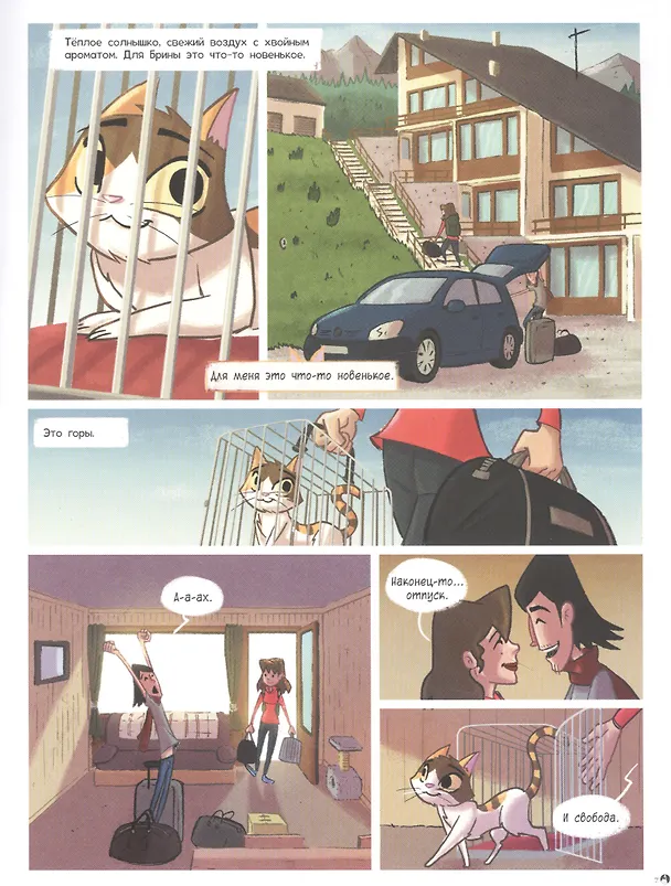 Книга Брина и Банда кошачьего солнца (Джорджо Салати) — 2