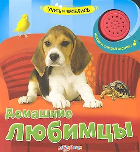 Домашние любимцы