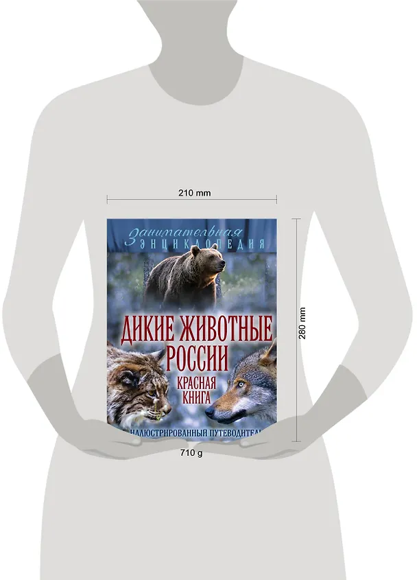 Книга Дикие животные России. Красная книга: иллюстрированный путеводитель (Александр Очеретний) — 4