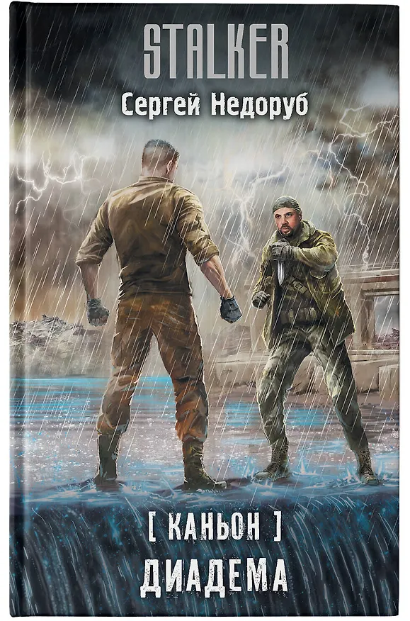 Книга Каньон. Диадема (Сергей Недоруб) — 5
