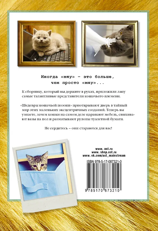 Книга Дело о мокрых тапках. Шедевры кошачьей поэзии (Франческо Маркьюлиано) — 2