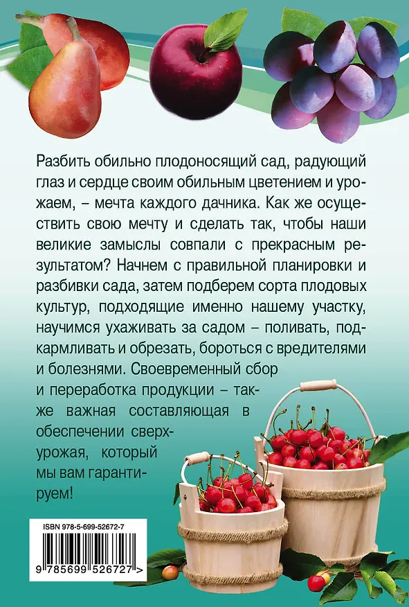 Книга Как спланировать свой сад, чтобы получить сверхурожай (Татьяна Агишева) — 2