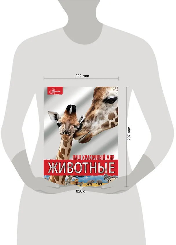 Книга Животные (Мира Филиппова, Любовь Вайткене) — 6
